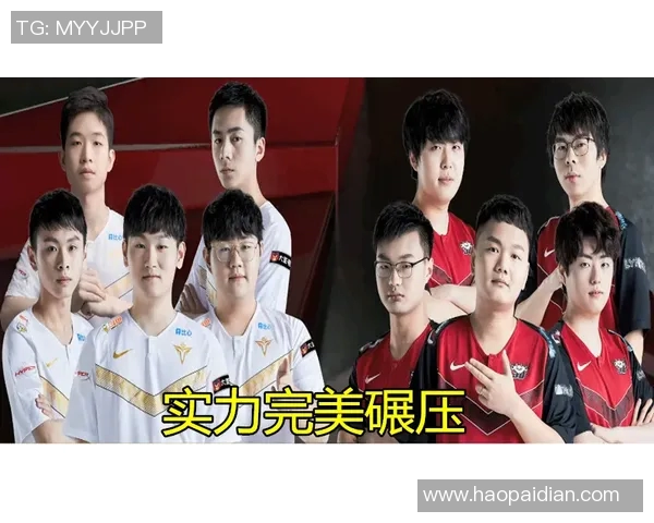 V5战队在精英赛中的团队协作表现分析与评价 V5战队在精英赛中的团队协作表现分析与评价