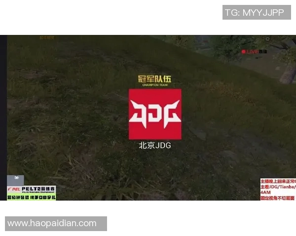 和平精英战术排行榜揭晓JDG战队荣登第一名引发热议 和平精英战术排行榜揭晓JDG战队荣登第一名引发热议