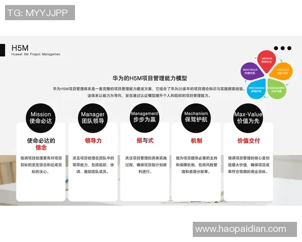 李静专访回顾王者荣耀发展历程与未来展望的深度解析 李静专访回顾王者荣耀发展历程与未来展望的深度解析