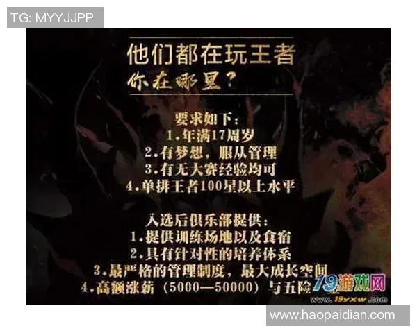 王者荣耀V5战队配合策略深度解析与实战经验分享