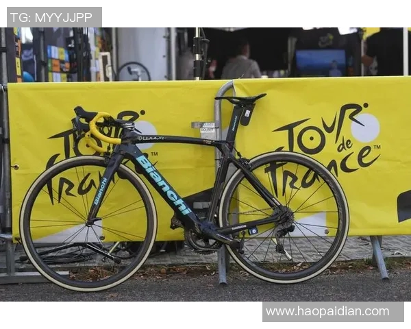 赛后复盘LNG与WE的战术意识与团队配合分析