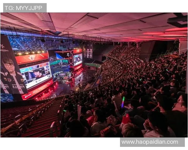 电竞数据背后的故事与杨磊的和平精英成长之路探秘