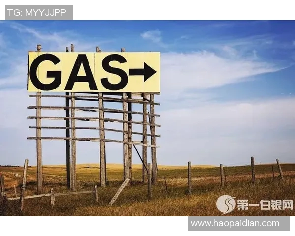 电竞新闻数据分析在液化天然气行业中的应用与意识提升探讨 电竞新闻数据分析在液化天然气行业中的应用与意识提升探讨